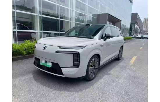 Denza N8L DM, пробіг 14 тисяч км